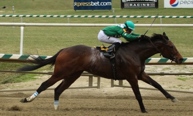 Awesome Slew hopes for Pegasus glory