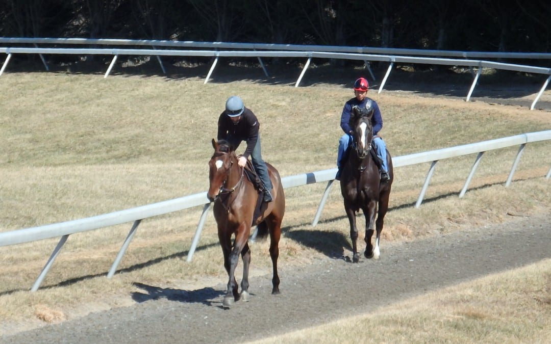 Hamelback: Industry must speak out against decoupling