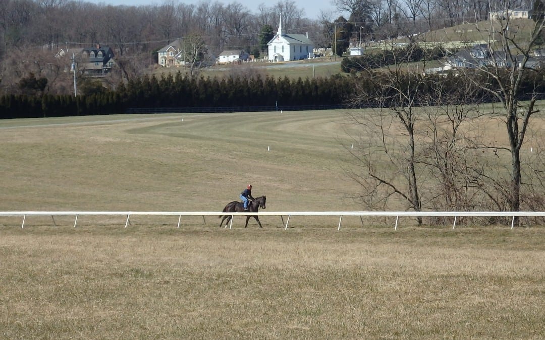Peter Howe, trainer of two champions, passes