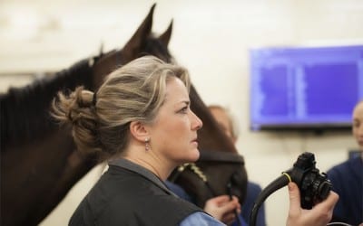 For Patty Hogan, blazing a trail is “quite the ride”