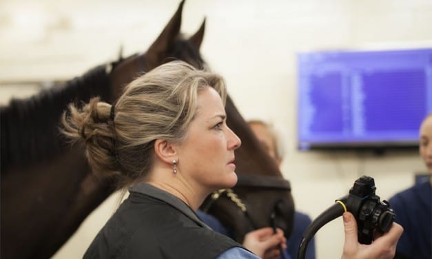 For Patty Hogan, blazing a trail is “quite the ride”