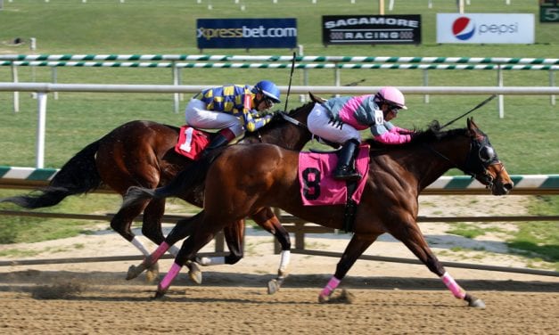Fritchie winner Lady Sabelia injured, retired