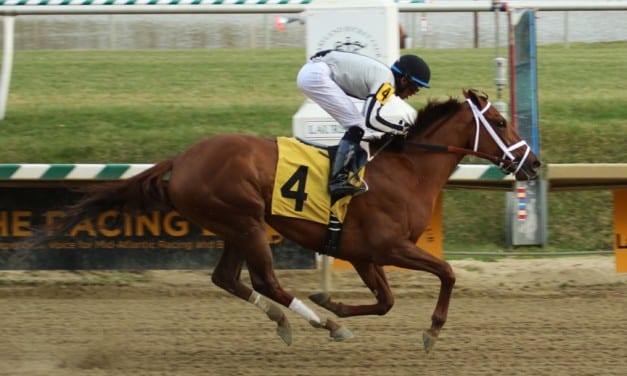 Sophia’s Song romps to Caesar’s Wish victory