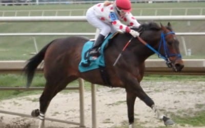 Yesterday and today: April 3 racing highlights