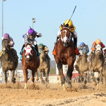 STANFORD - Charles Town Classic - Gr II - 8th Running - 04-23-16 - R12 - CT - 005