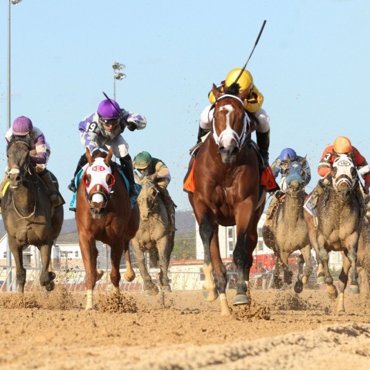 STANFORD - Charles Town Classic - Gr II - 8th Running - 04-23-16 - R12 - CT - 005