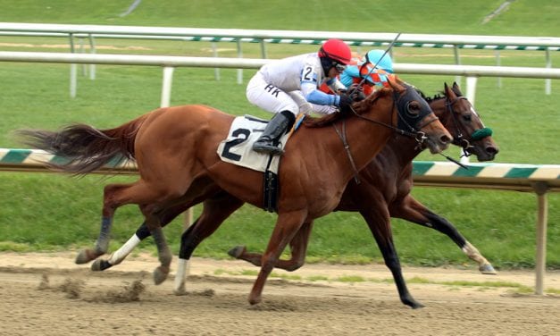 Awesome Speed put up in Tesio