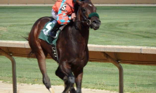 Midlantic runners on Belmont Saturday