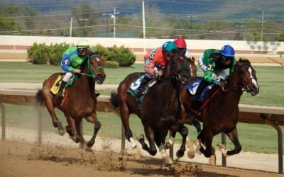 Seventh annual owners’ conference set for July