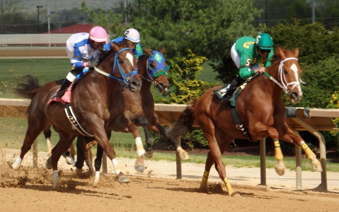 VIDEO: This horse is all of us in 2022