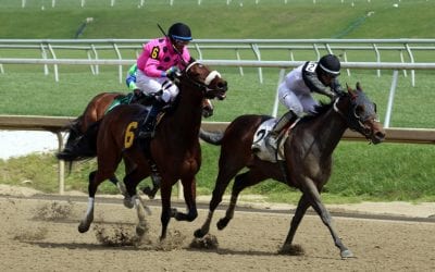 Analyze sweeps to Winter Melody victory