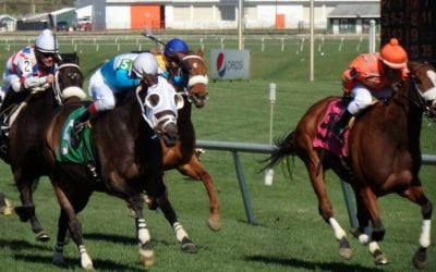 Maryland to hub national Stronach 5 wager