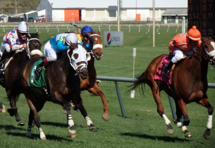 monstersleeping Monster Sleeping (#5) edged Two Wonders to win an allowance race at Laurel Park on April 3, 2016.