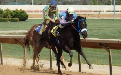 Ultra-consistent Ronney Brown just keeps on winnin’