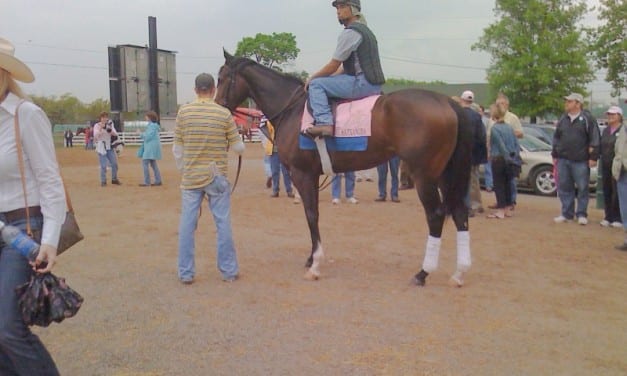 Ramon, Zenyatta, Rachel head Hall of Fame class