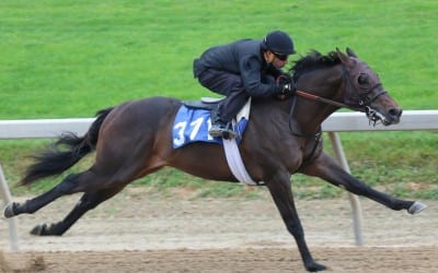 Fasig-Tipton 2yo sale carries hopes for momentum