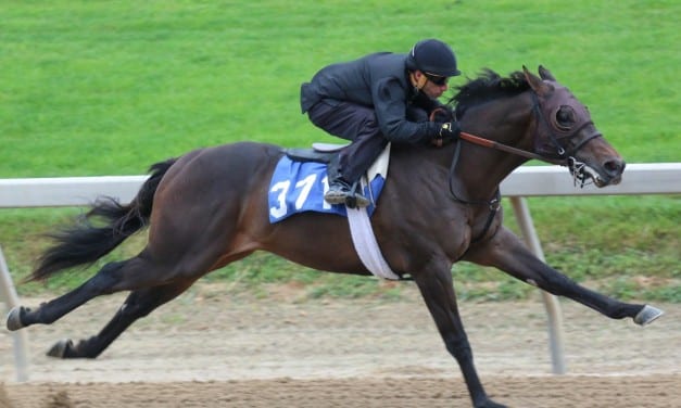 Fasig-Tipton 2yo sale carries hopes for momentum