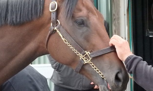 Nyquist: “Greatness” in a plain brown wrapper