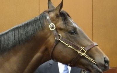 Analysis: Fasig-Tipton sale enjoys day two recovery