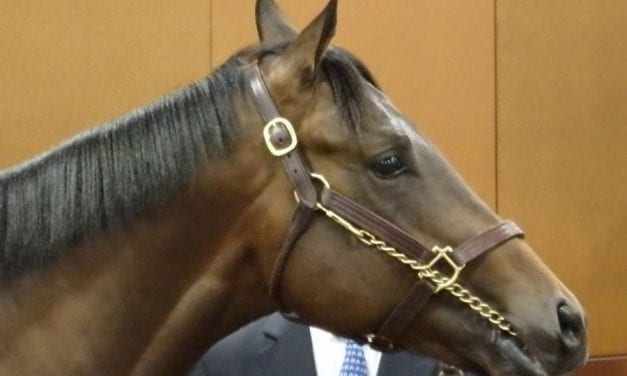 Analysis: Fasig-Tipton sale enjoys day two recovery