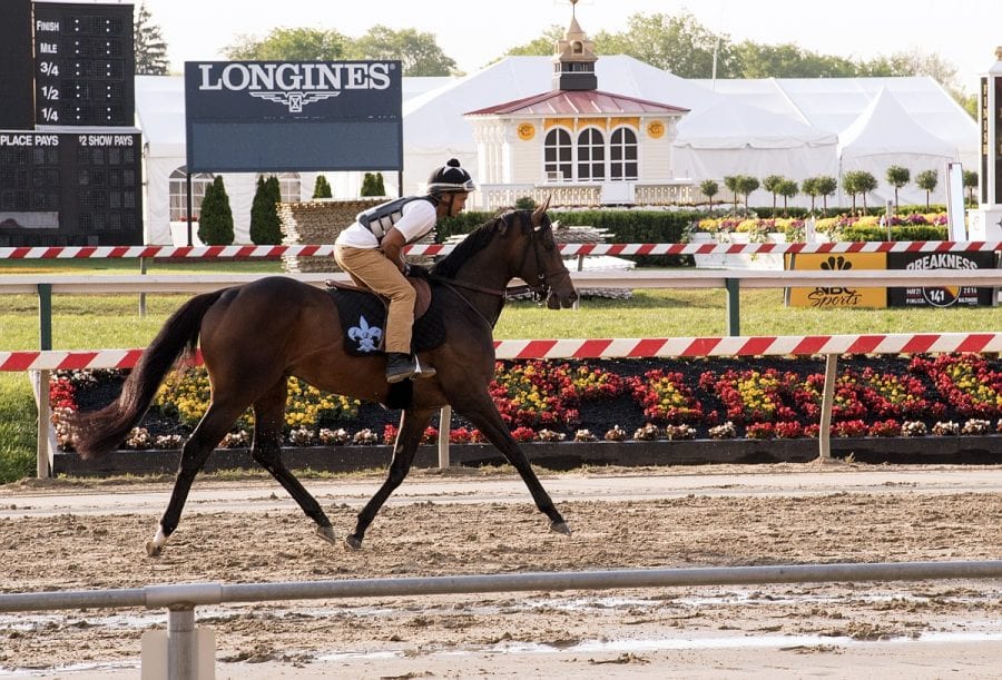 Exaggerator 03 Exaggerator
