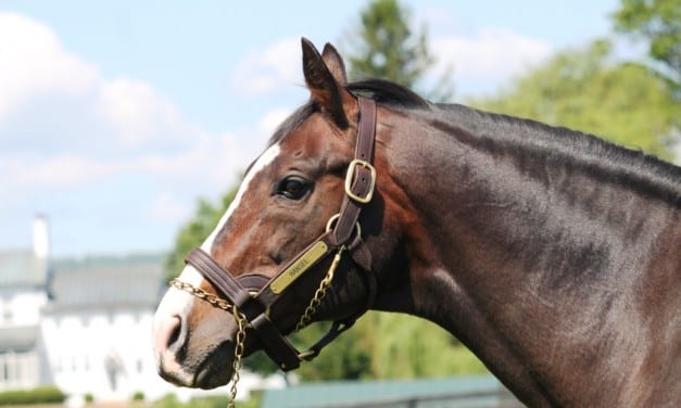 25 years ago, Hansel kicked off Virginia renaissance