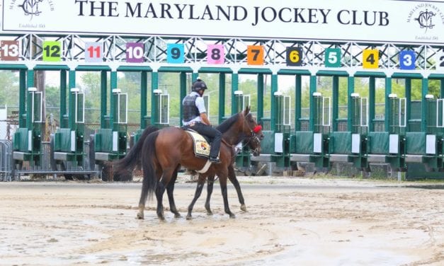 New Maryland Jockey Club board named