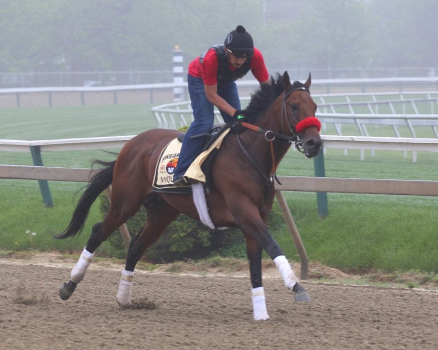 Nyquist, Pimlico, Preakness Week–20160513-3 Nyquist.