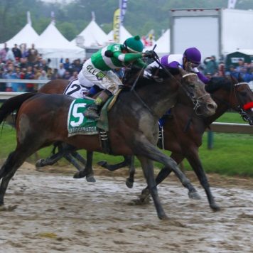 Pimlico, Preakness Day--20160521-2
