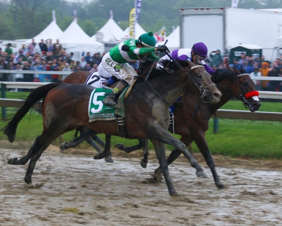 Pimlico, Preakness Day–20160521-2 Exaggerator