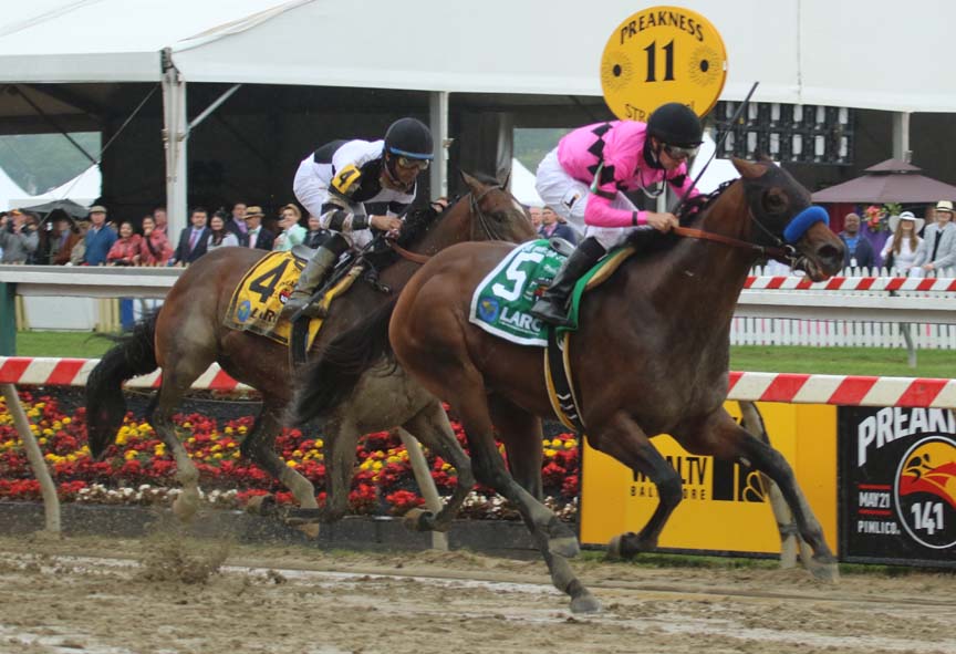 amer-4938 American Freedom