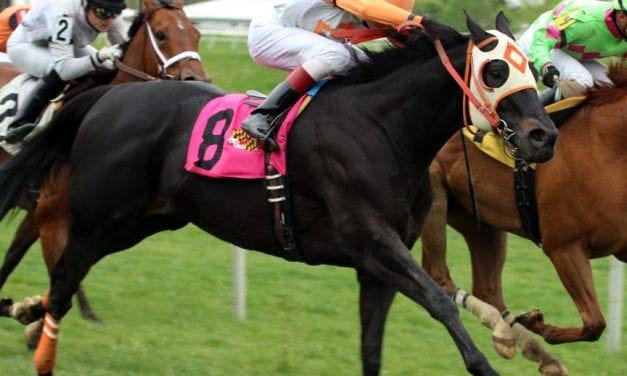 Ben’s Cat posts first work of ’17