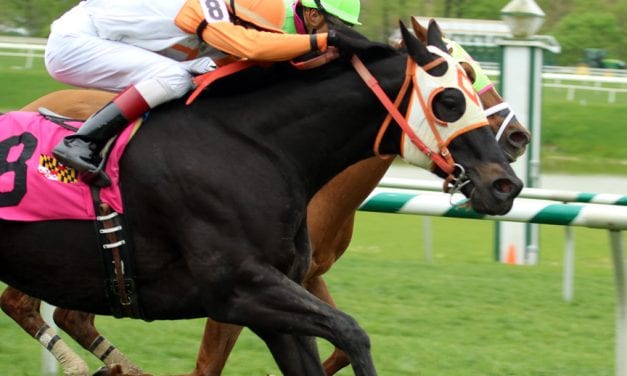 Ben’s Cat returns a winner: Photo gallery