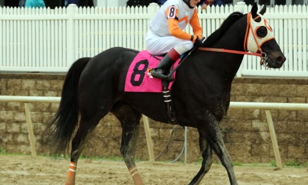 Ben’s Cat logs final work before Mr. Diz