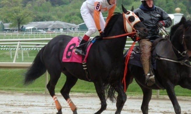 Ben’s Cat, Monster Sleeping top Laurel stakes noms