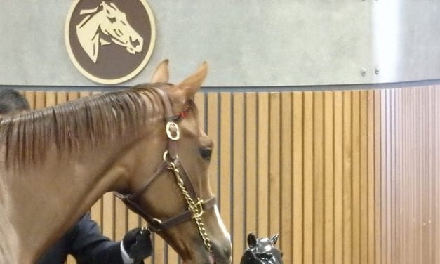 Fasig-Tipton catalogs 360 hips for yearling sale