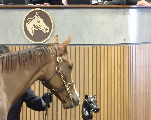 ft2yo2016hip195 Fasig-Tipton sale