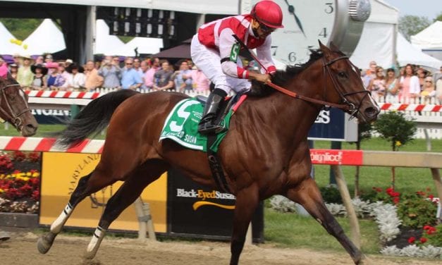 Full fields abound in Black-Eyed Susan day stakes