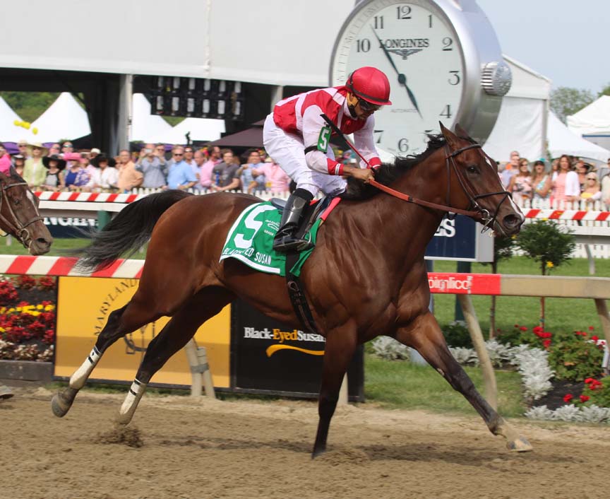 maggi-4654 Go Maggie Go