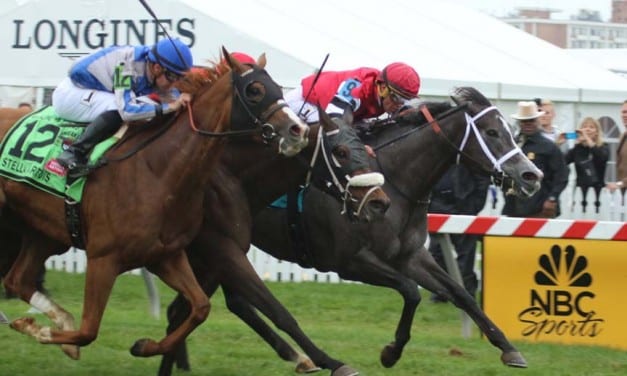 Mizz Money cashes in narrow Gallorette score