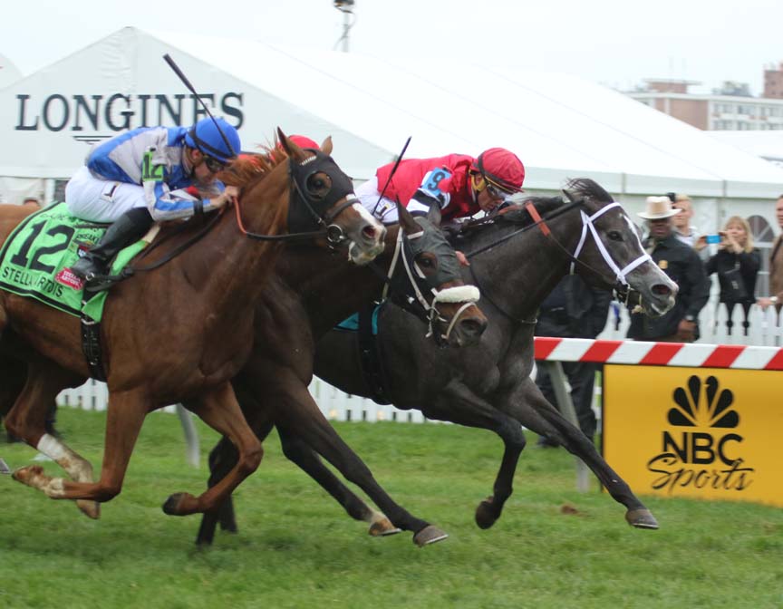 mizz-4906 Mizz Money