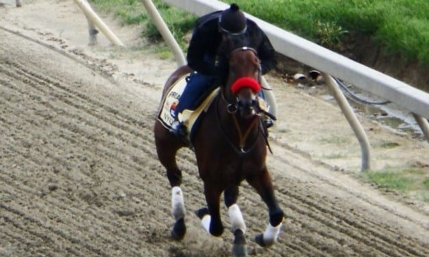 Nyquist to skip Belmont Stakes