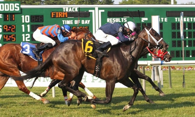 Indian Splendor rallies to Honey Bee win