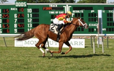 Meadowlands set for Wednesday opener with reduced takeout