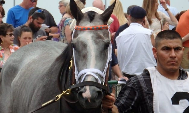 Penn Mile card photo gallery