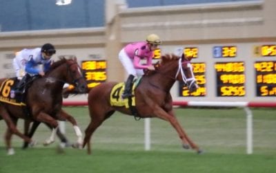 Penn National to run daytime cards on biggest days