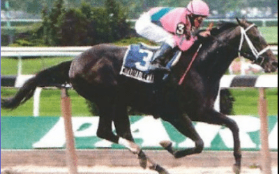 Promising young sire Charitable Man dies