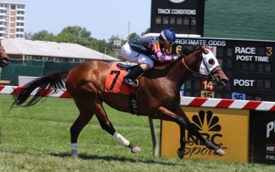 Stellar Wind repeats as Va-bred champion