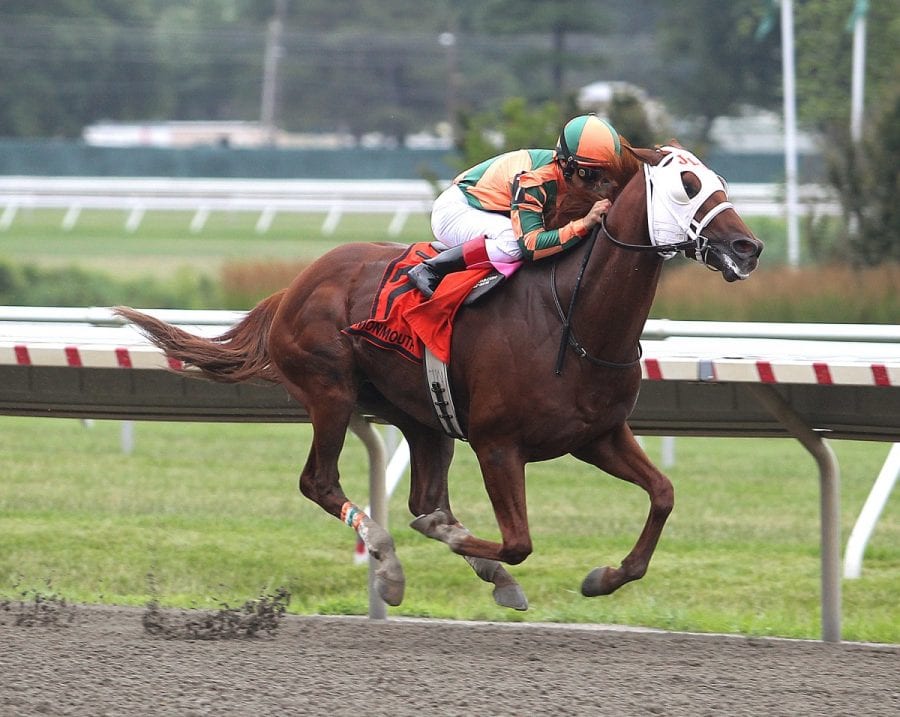 07-09-16 09 No Distortion_LongBranchStks_03 No Disortion