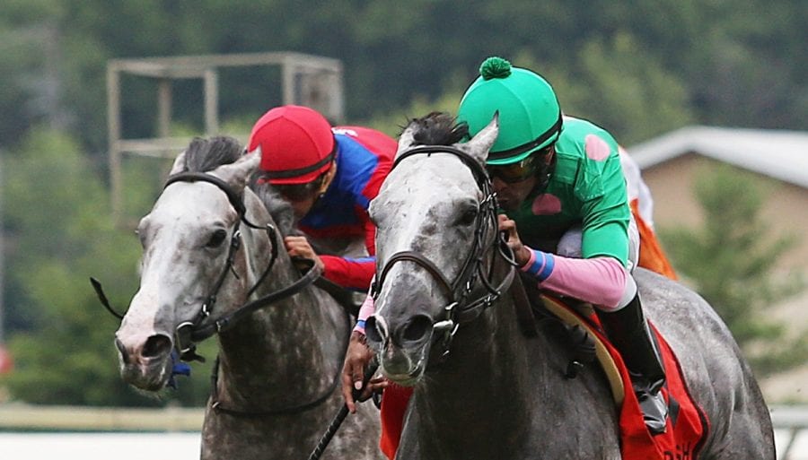 07-09-16 P 08 Pure Sensation FIN 02 Pure Sensation